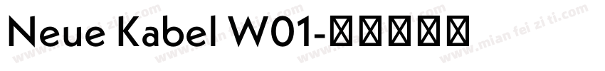 Neue Kabel W01字体转换